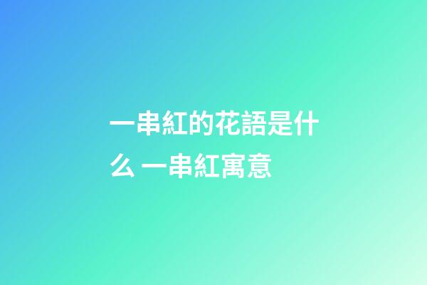 一串紅的花語是什么 一串紅寓意